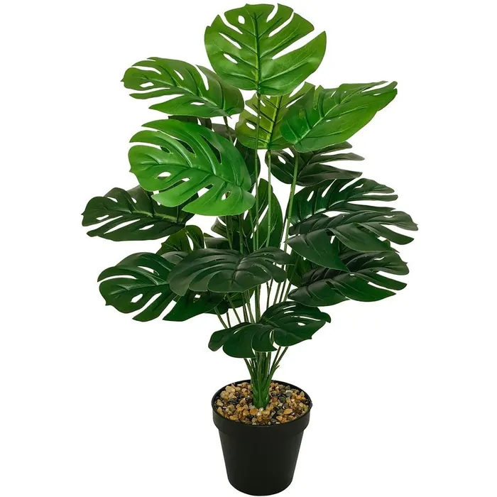 Monstera Potted Plant