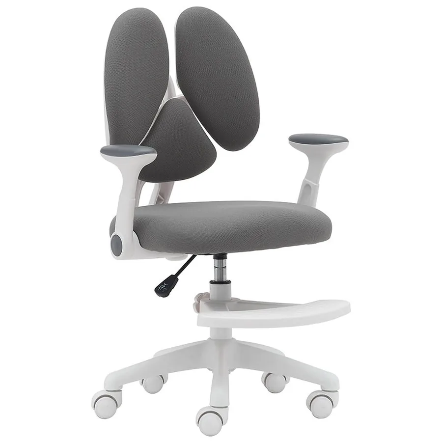 Ergonomic Study Chair
