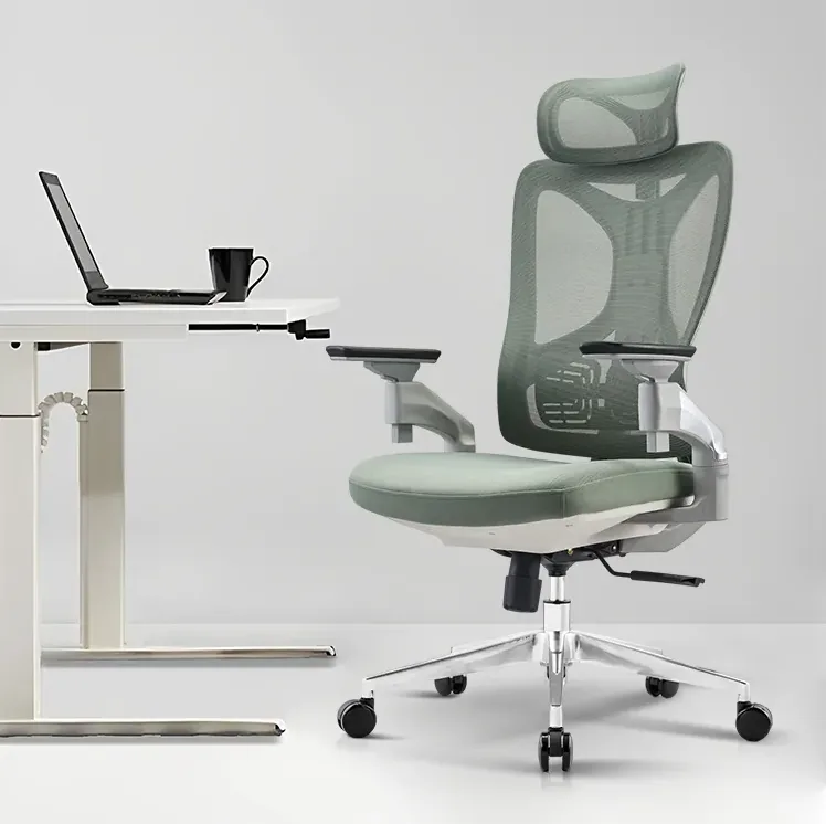 Ergonomic Office Chair