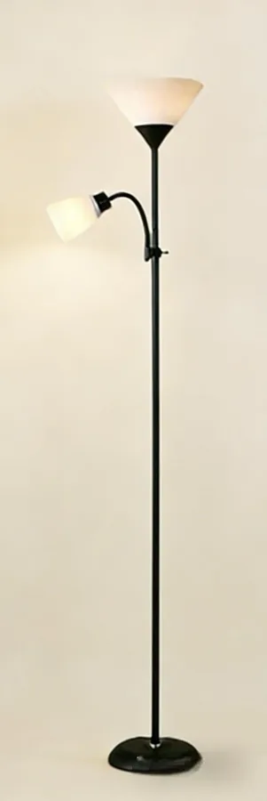 Floor Lamp with Reading Arm