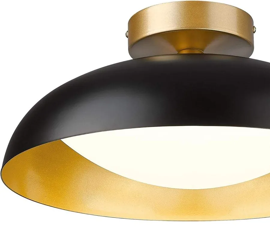 LED Ceiling Light with Remote