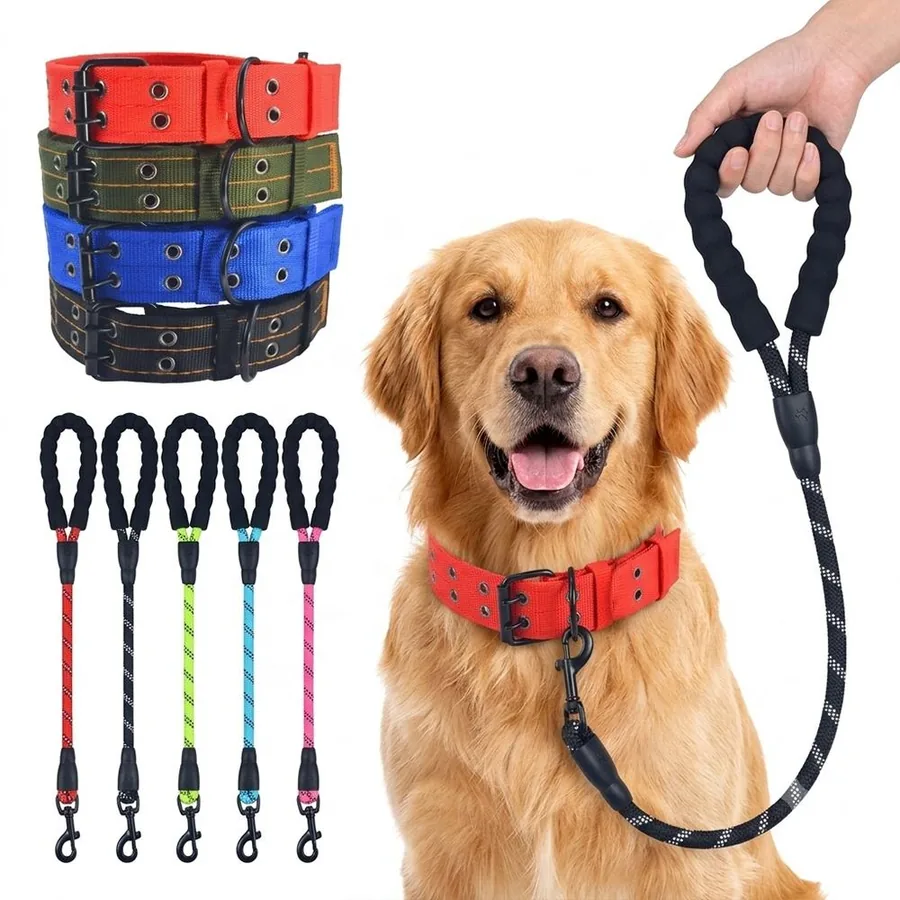 Dog Collar & Leash Set