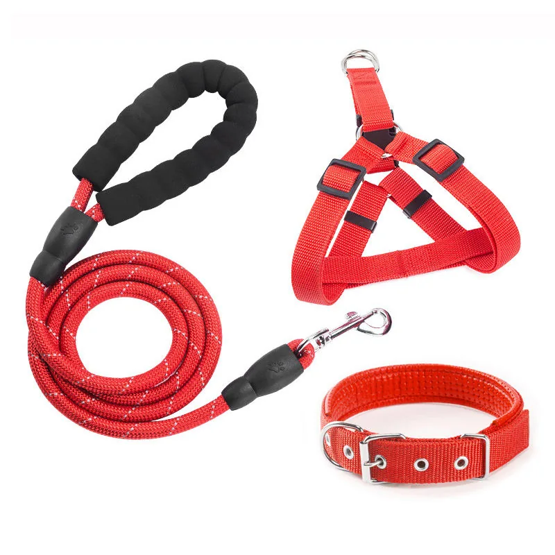 Dog Harness & Leash Set