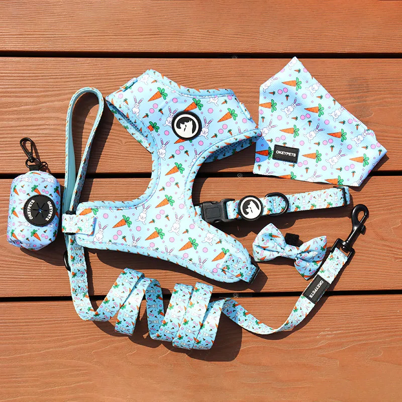 Dog Harness Set