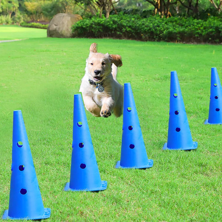 Pet Training Cone