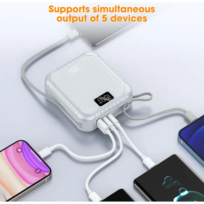Multi-Port Charger