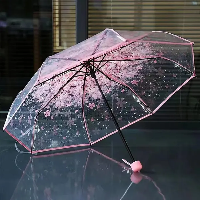 Transparent Umbrella