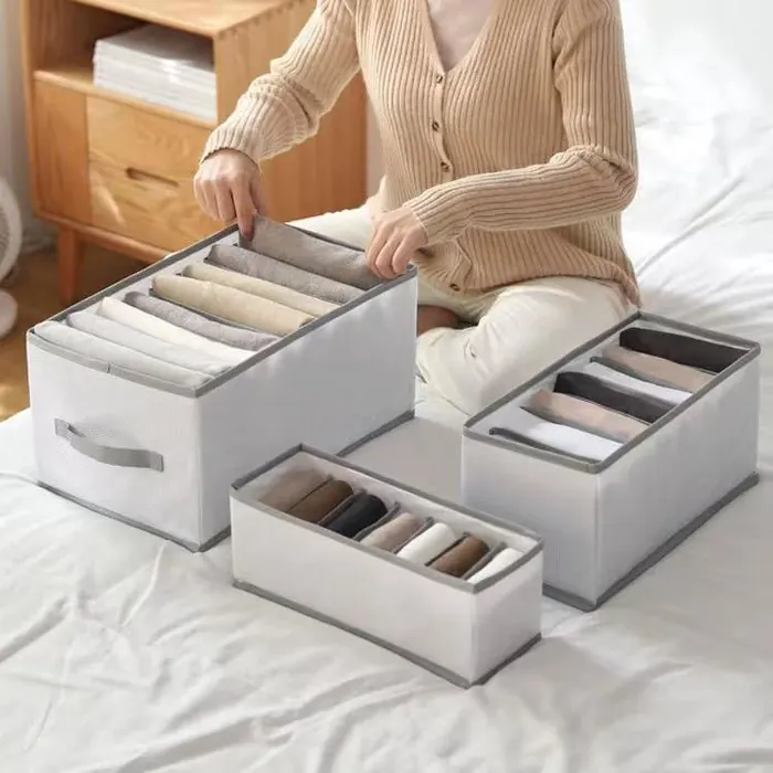Fabric Underwear Organizer