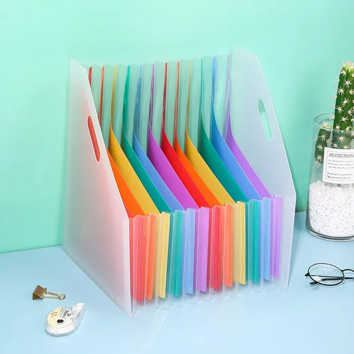 Rainbow Accordion File Organizer (12 Slots)