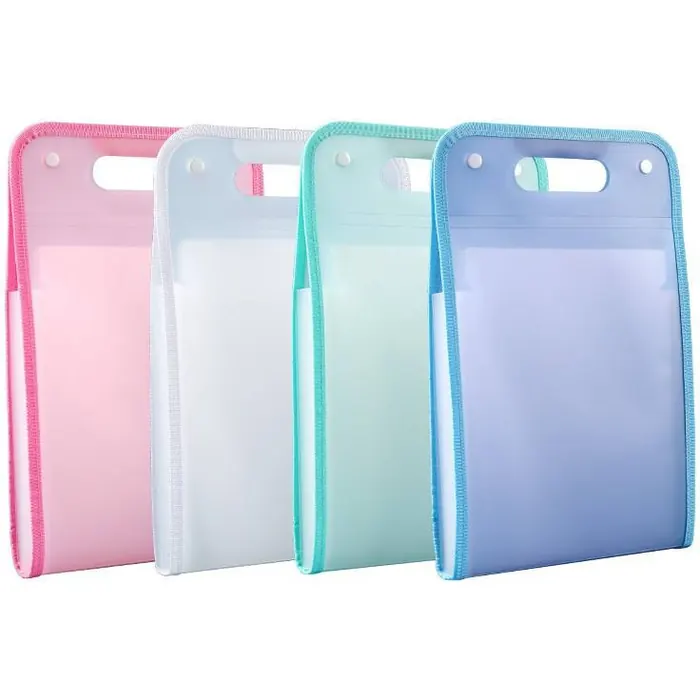Semi-Transparent Vertical File Bag (4 Colors)