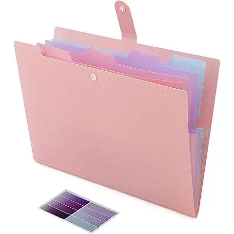 Pink Accordion File Bag